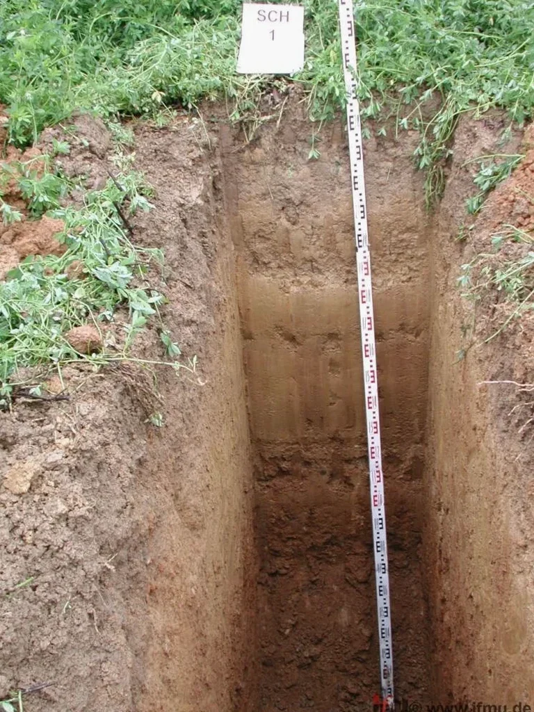 Exploratory Test Pits in Manchester, NH: Direct Subsurface Access